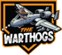 | A10 Warthogs Gear