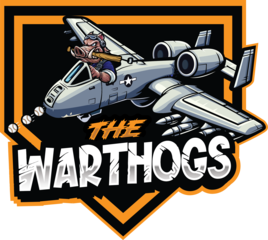 | A10 Warthogs Gear